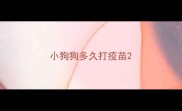 小狗狗多久打疫苗