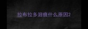 拉布拉多泪痕什么原因