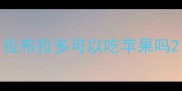 拉布拉多可以吃苹果吗