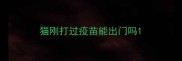 猫刚打过疫苗能出门吗