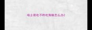 哈士奇吃不咋吃狗粮怎么办