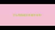 什么狗狗最好养最听话乖