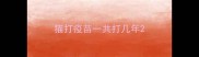 猫打疫苗一共打几年