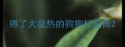得了犬瘟热的狗狗打疫苗
