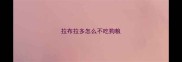 拉布拉多怎么不吃狗粮