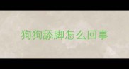 狗狗舔脚怎么回事