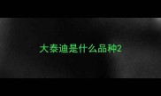 大泰迪是什么品种