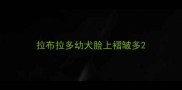 拉布拉多幼犬脸上褶皱多