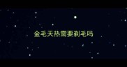 金毛天热需要剃毛吗