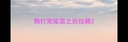 狗打完疫苗之后拉稀