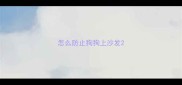 怎么防止狗狗上沙发