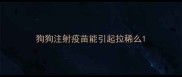狗狗注射疫苗能引起拉稀么