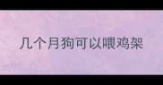 几个月狗可以喂鸡架