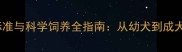 巴哥犬10个月体重标准与科学饲养全指南从幼犬到成犬的体重管理黄金期