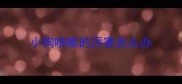 小狗咳嗽的厉害怎么办