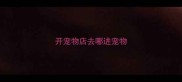 开宠物店去哪进宠物