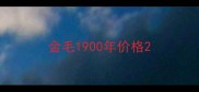 金毛1900年价格