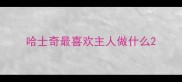 哈士奇最喜欢主人做什么