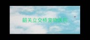 韶关立交桥宠物医院