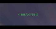 小泰迪几个月补钙