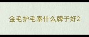 金毛护毛素什么牌子好