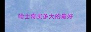 哈士奇买多大的最好