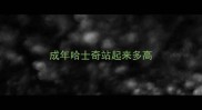 成年哈士奇站起来多高