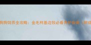 7个月狗狗饲养全攻略金毛柯基边牧必看养护指南附成长表