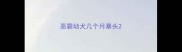 恶霸幼犬几个月暴头