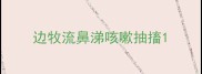 边牧流鼻涕咳嗽抽搐