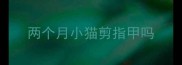 两个月小猫剪指甲吗