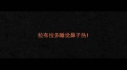 拉布拉多睡觉鼻子热