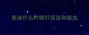 泰迪什么时候打疫苗和驱虫