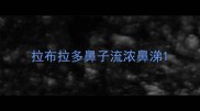拉布拉多鼻子流浓鼻涕