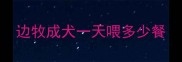 边牧成犬一天喂多少餐