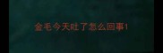 金毛今天吐了怎么回事