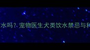 哈士奇能喝凉水吗宠物医生犬类饮水禁忌与科学喂养指南