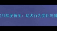 狗狗抬腿尿的月龄发育全幼犬行为变化与健康管理指南