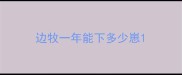 边牧一年能下多少崽