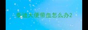 泰迪大便带血怎么办