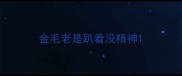 金毛老是趴着没精神