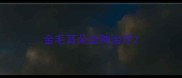 金毛耳朵血肿治疗