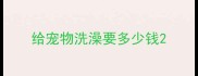 给宠物洗澡要多少钱
