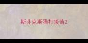 斯芬克斯猫打疫苗