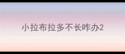 小拉布拉多不长咋办