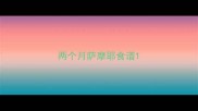 两个月萨摩耶食谱