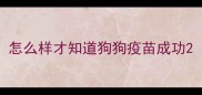 怎么样才知道狗狗疫苗成功