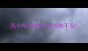 两个月大的哈士奇狗粮不泡