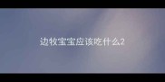 边牧宝宝应该吃什么