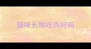猫咪长期吃肉好吗